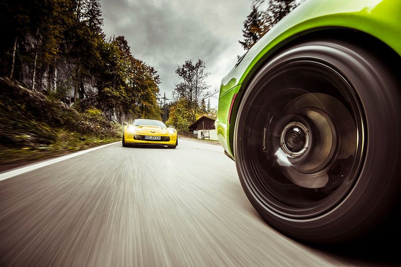 Viper Hunt by Sytse Dijkstra