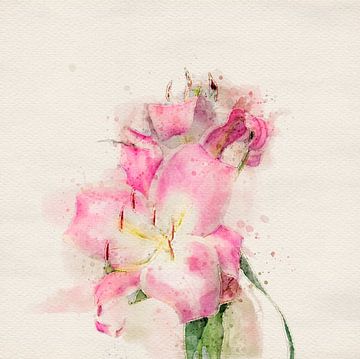 Twee roze lelies, aquarelstijl van Naomi van Mierlo