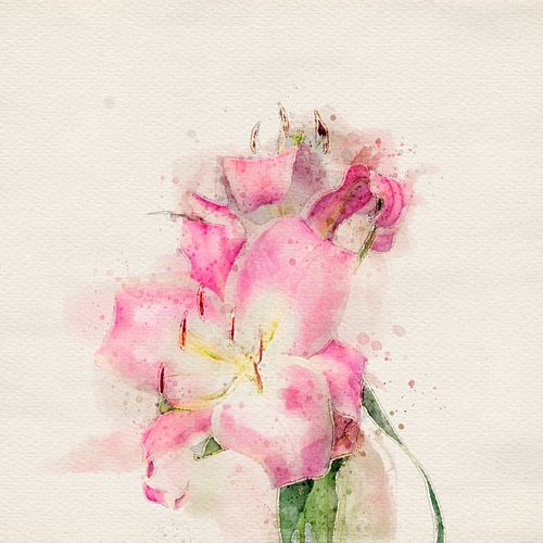 Deux lys roses, style aquarelle