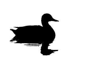 Silhouette einer Ente (rechteckig)