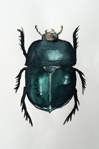 Aquarel Tor - Turquoise