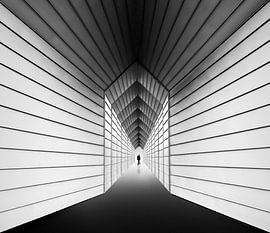 To the light by Maurits De Groen