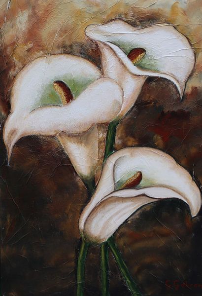 Arum by Gulserin Gokcan