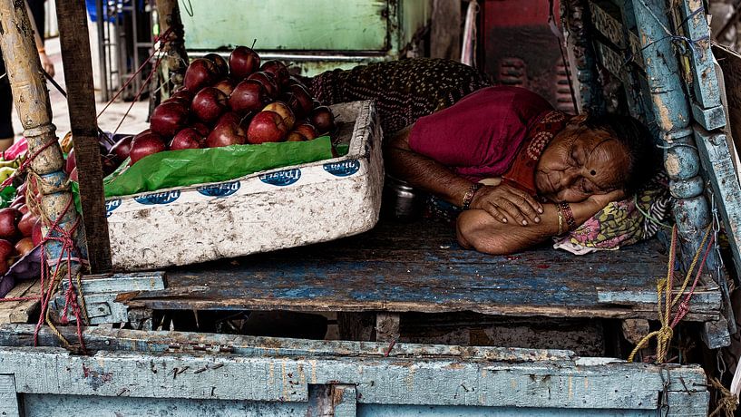 Dornröschen von Vincent van Kooten