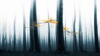 Speulder revisited