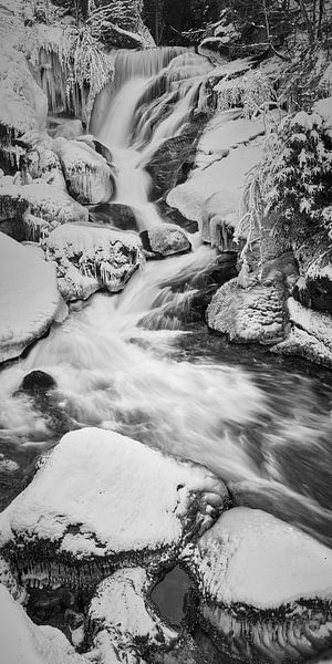 Triberg waterval in de winter van Keith Wilson Photography