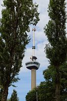Euromast in Rotterdam