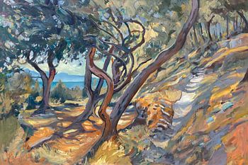 Stone path in an olive grove in Paxos