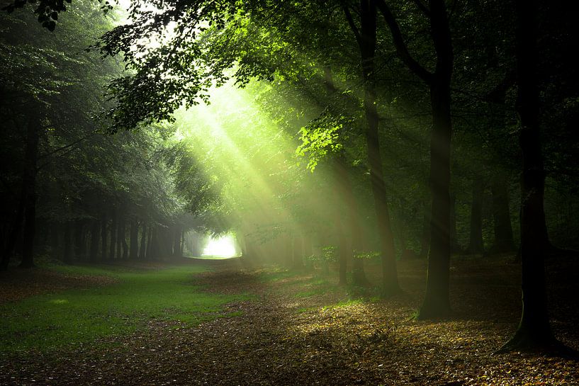 Lights from above by Marc Hollenberg