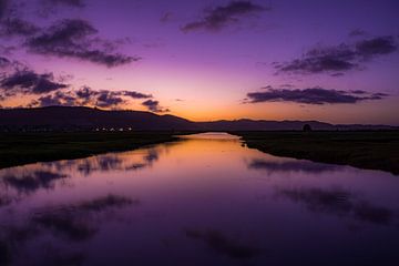 Des couleurs qui se reflètent sur Laura Drijfhout