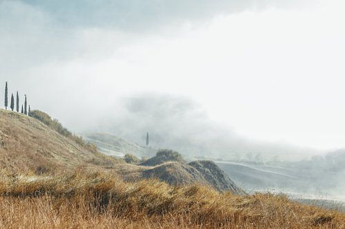 heuvellandschap met cipressen in Toscane