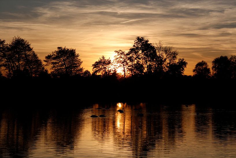The golde  lake by Bart Hendriks