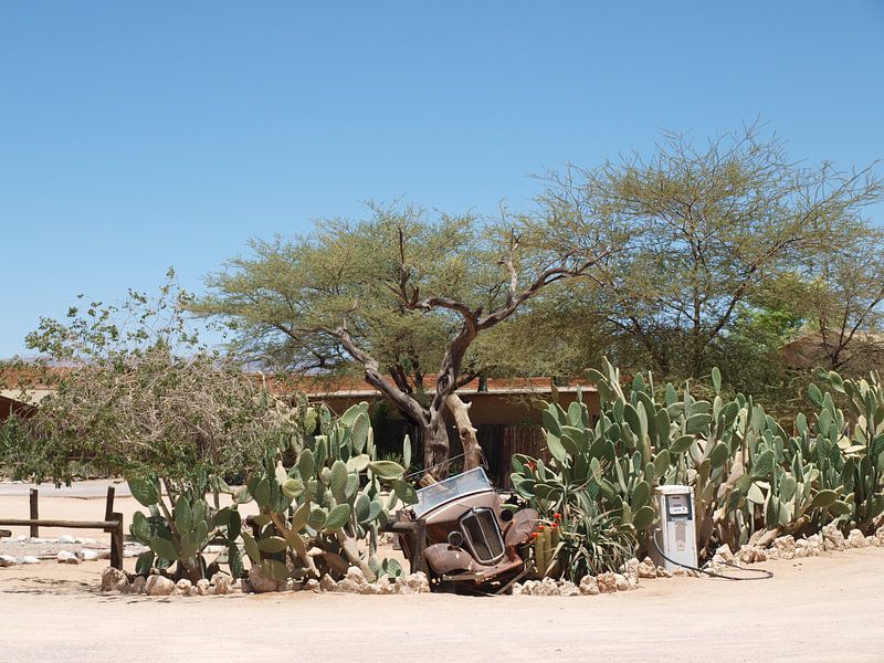 Moose Bakery Namibië von Annie Lausberg-Pater