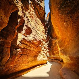 Petra Jordanië van Rene van Heerdt