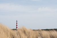 Lighthouse in the Dunes
