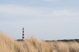 Lighthouse in the Dunes by Kjeld van den Heuvel