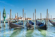 Gondola's op de Canal Grande in Venetië van Stefania van Lieshout thumbnail