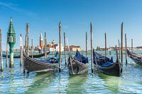 Gondolas on the Grand Canal in Venice