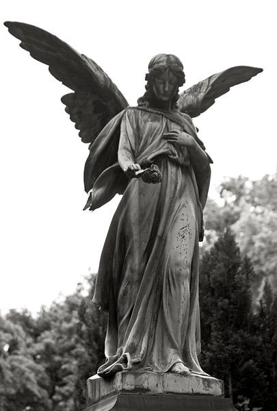 Sculpture d'un ange au cimetière Sainte-Elisabeth par Silva Wischeropp