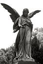 Sculpture d'un ange au cimetière Sainte-Elisabeth par Silva Wischeropp Aperçu