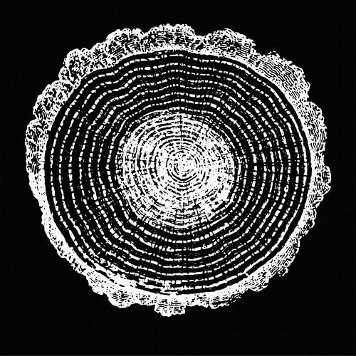 Art moderne abstrait botanique minimaliste en blanc sur toile noire