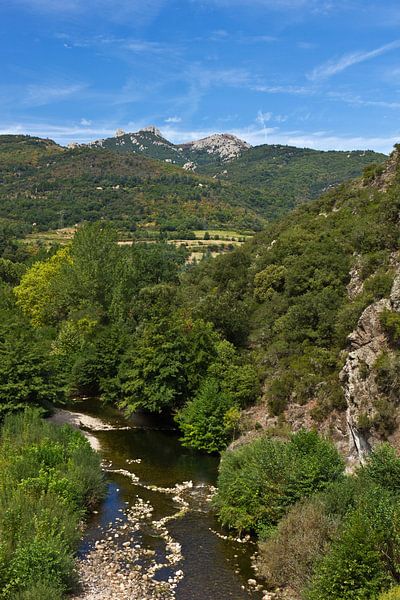 Rivierlandschap in het zuiden van Frankrijk van Anja B. Schäfer