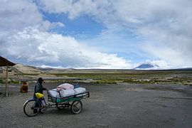 Altiplano Peru