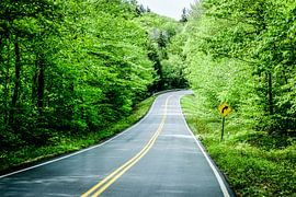 Green Mountains by H Verdurmen