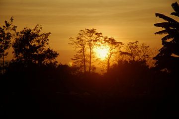 Zonsondergang in de jungle van MM Imageworks
