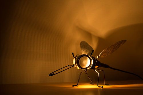 Stralende vlieg sur Be-eR fotografeert