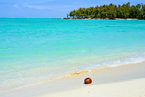 Mauritius ile aux cerfs