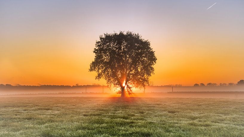 Zonsopgang over de velden van Rudi Everaert