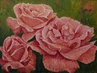 Rose Garden