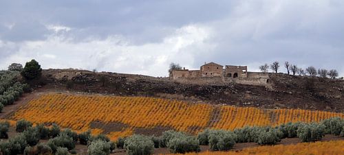 Ancienne ferme avec champ d'asperges aux couleurs de l'automne