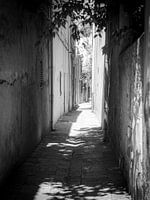 Allée au soleil