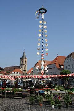 Grüner Markt am Marktplatz mit Zunftbaum in Bad Neustadt