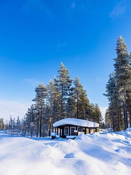 Landschap met sneeuw en houten hut in de winter in Kuusamo, Finnl