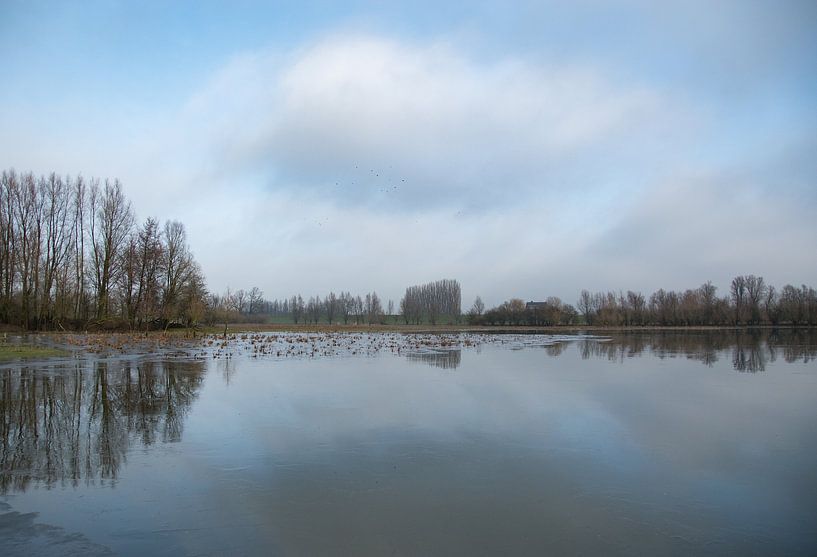 De Blaauwe Kamer Wageningen- Plas 02 by Cilia Brandts
