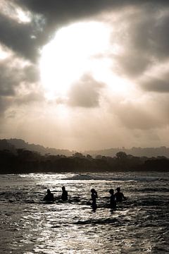 Sunshine in the cloud forests above the sea by Bianca ter Riet