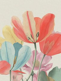 Tulpenblüte von Artclaud