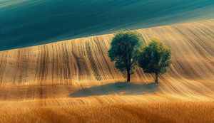Herbstlandschaft erkunden