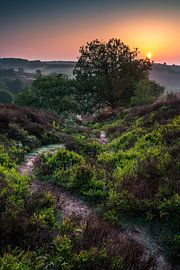 Lever du soleil sur le parc national de Veluwezoom sur Martijn van Steenbergen