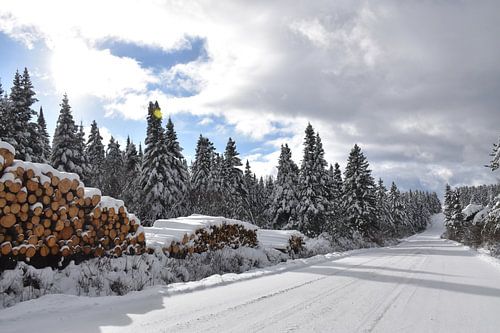 La route du rang du nord en hiver
