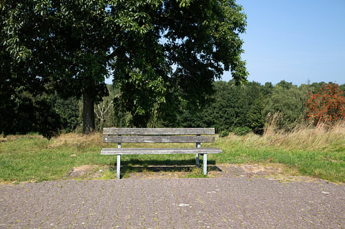 Ontdek de natuur in een bosrijk gebied in Emsland, Nedersaksen, Duitsland