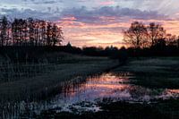 Lever de soleil coloré sur la dépression de Gastel