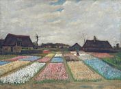 Vincent van Gogh. Bloembedden in Holland van 1000 Schilderijen thumbnail