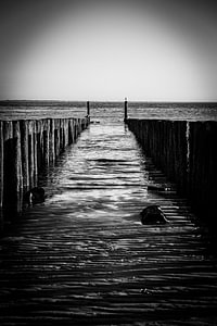 Niederlande | Strandpfähle am Strand in Zeeland | Schwarz-Weiß-Foto