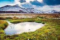 Thermale rivier in Landmannalaugar, IJsland van Sjoerd van der Wal Fotografie thumbnail