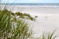 De Wadden