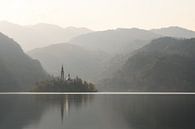 Lac Bled en Slovénie par Michael Valjak Aperçu